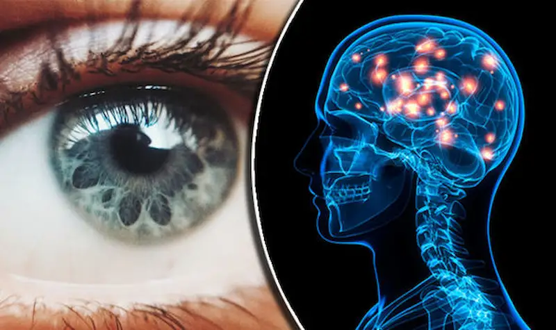Lo studio suggerisce che i primi segni della malattia di Alzheimer potrebbero essere rilevati negli occhi. 