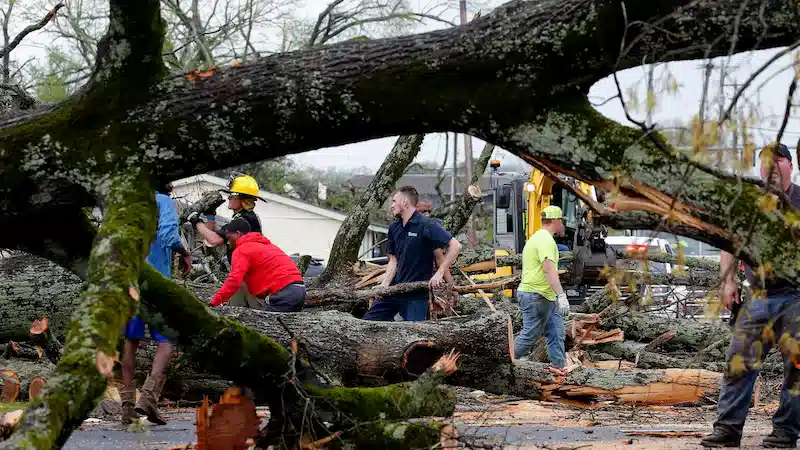 Several tornadoes and severe storms swept through the Southern and Midwestern regions, resulting in the hospitalization of dozens and claiming the lives of at least five people.