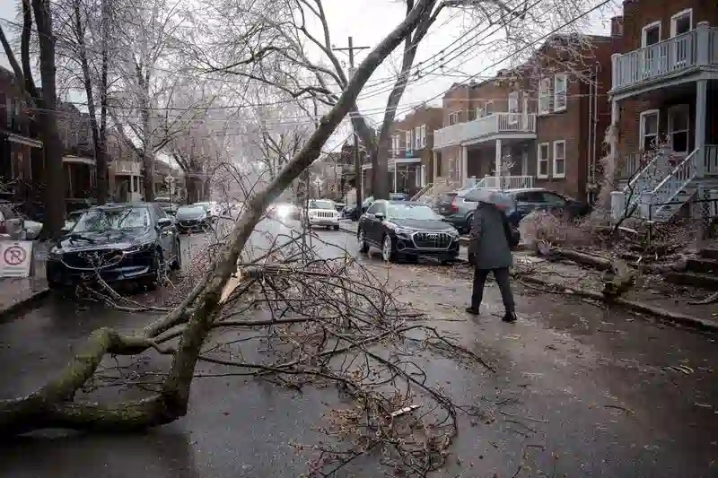 Eissturmblätter 1. 3 Millionen Kunden ohne Strom und Montreal am Boden zerstört