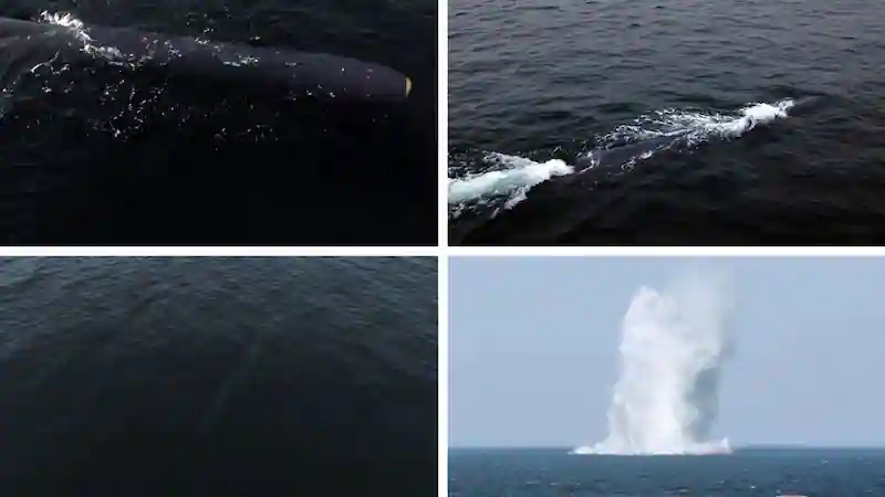 Nordkorea gibt erfolgreiche Tests der Unterwasser-Atomdrohne Haeil-2 bekannt
