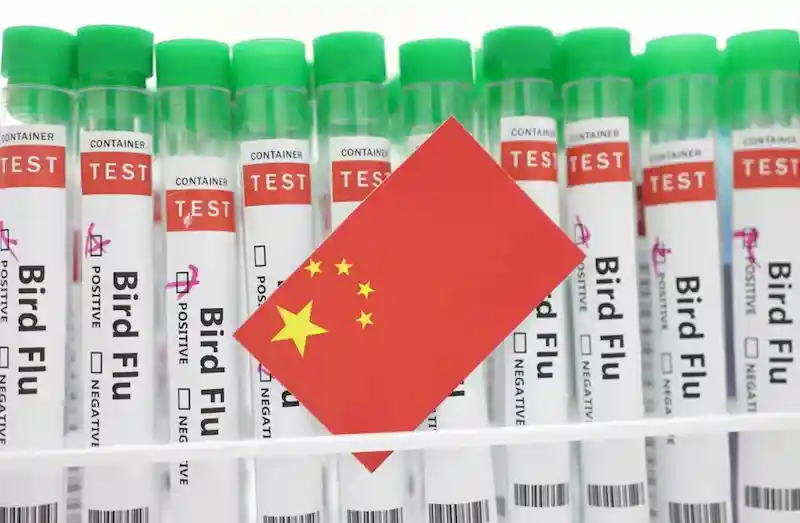 A primeira morte humana por gripe aviária H3N8 registrada na China. 