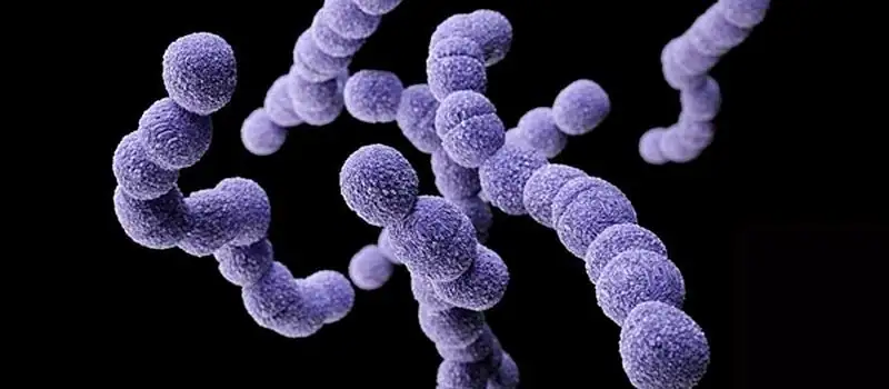 Doctors report an increase in a potentially harmful strain of strep.