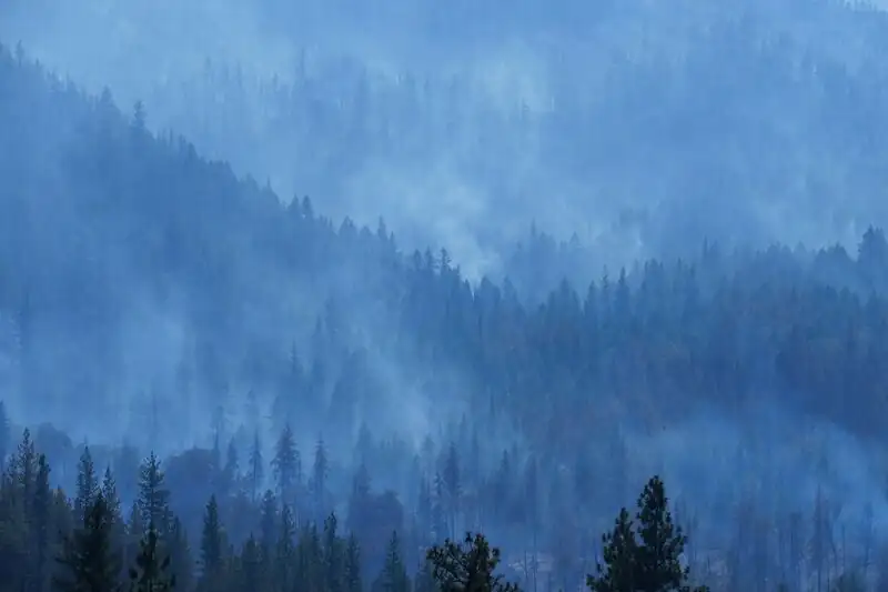 Il cambiamento climatico supera la capacità di adattamento delle foreste negli Stati Uniti