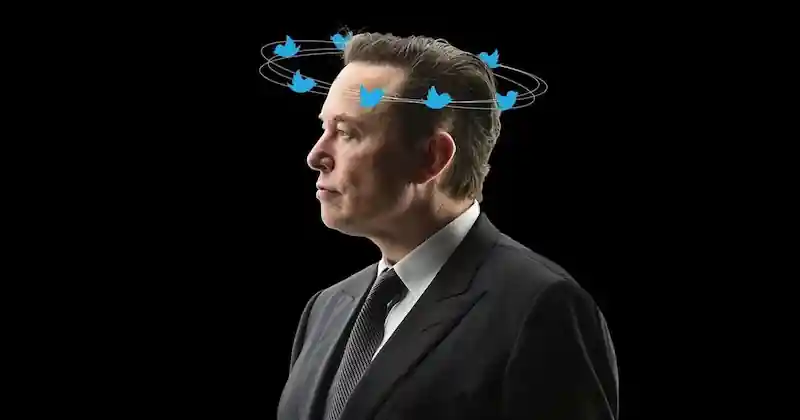Il regno di 6 mesi di Elon Musk come CEO scuote Twitter e la sua reputazione. 