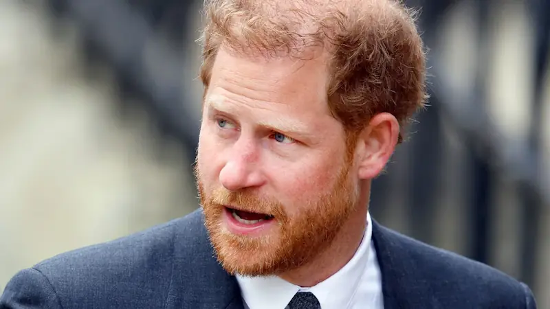 Prince Harry's request to cover his UK police protection expenses denied by court.