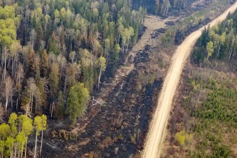 Canadian Wildfires Consume Land Mass 10 Times Higher Than Usual.