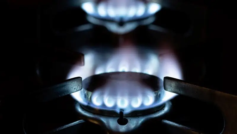 The Role of Gas Stoves in the Culture Wars Takes Center Stage