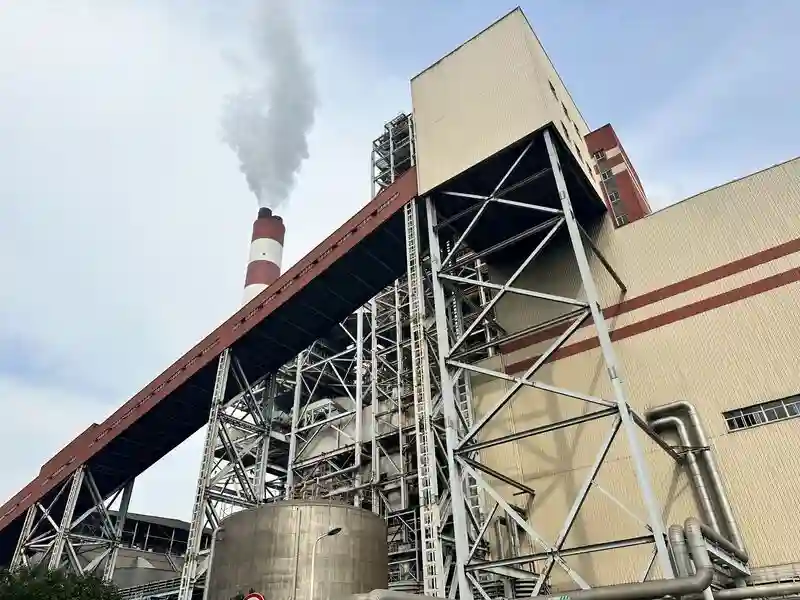 Shanghai's Plant Utilizes 800 Tons of Coal per Hour to Provide Relief from the Heat in the City