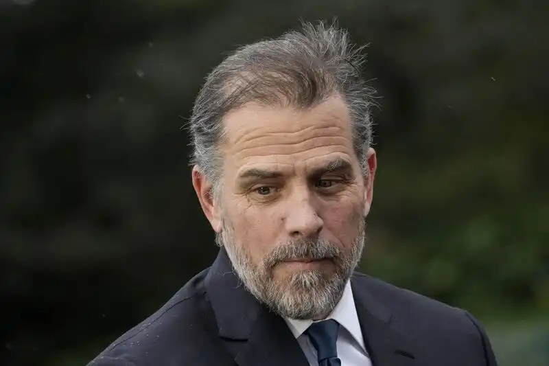 Hunter Biden attempts to evade imprisonment by striking a bargain concerning tax and firearms violations.