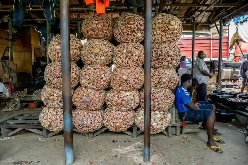 La Nigeria implementa lo stato di emergenza in risposta all'aumento dei costi alimentari
