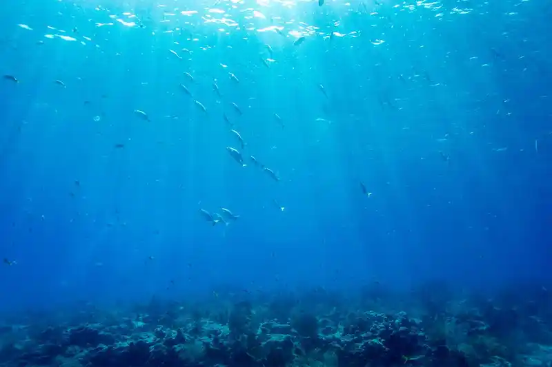 Record-breaking ocean heatwaves are fueling extreme weather events across the globe