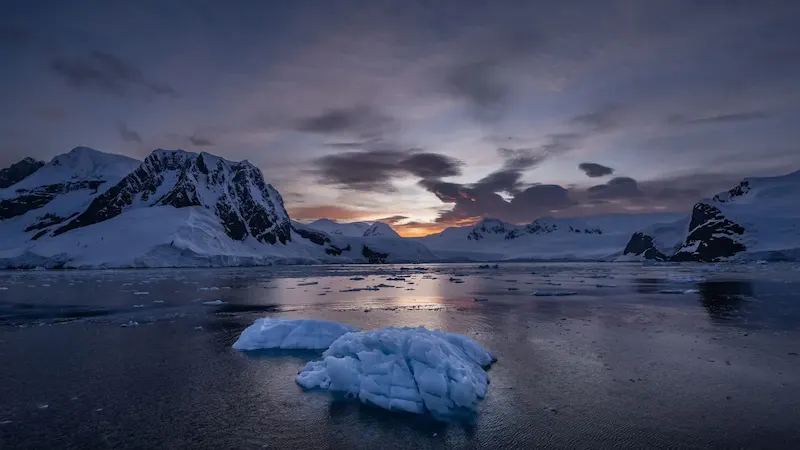Antarctica inawashangaza wanasayansi inapopoteza eneo la barafu ya baharini sawa na ukubwa wa Argentina