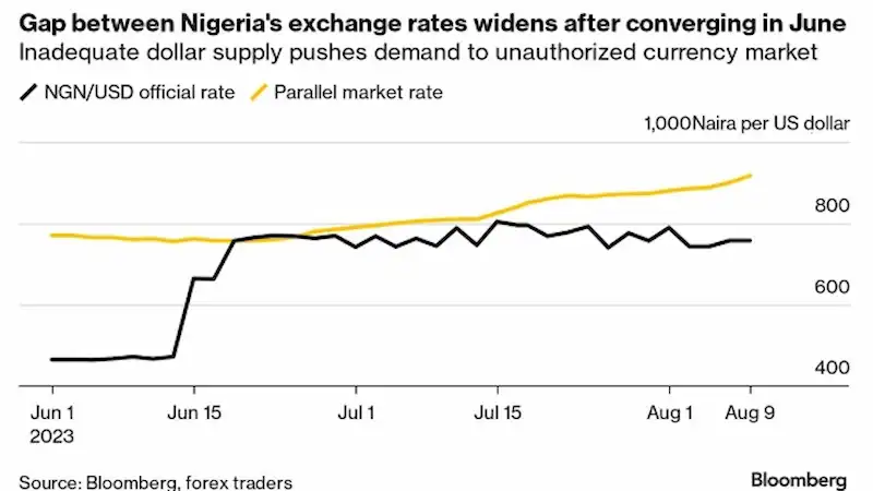 Il FMI critica le politiche economiche allentate della Nigeria per il sostegno inadeguato a Naira. 