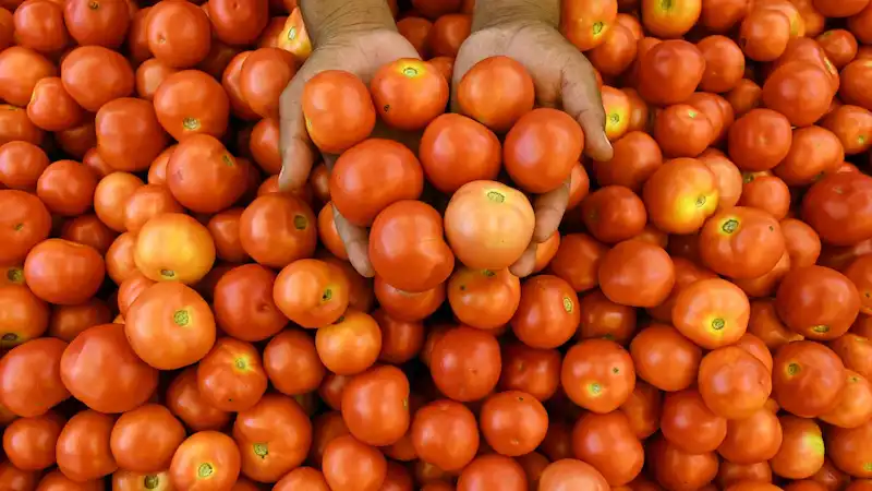 Burger King si unisce a McDonald's per rimuovere i pomodori dal loro menu in India