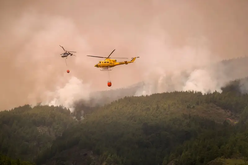 Official Says Tenerife Wildfire Deliberately Sparked