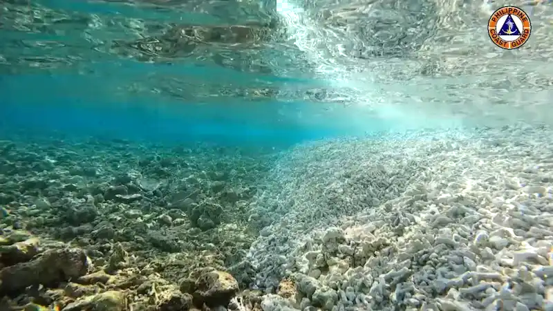 Philippines alleges China's clandestine maritime militia responsible for the obliteration of coral reefs in the South China Sea.