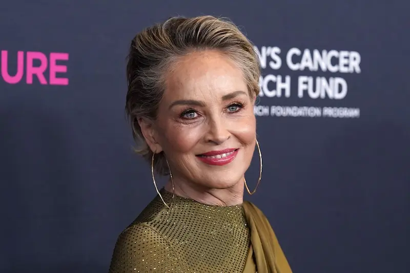 Sharon Stone's Acting Career Hits Pause, But Artistic Expression Flourishes on Canvas