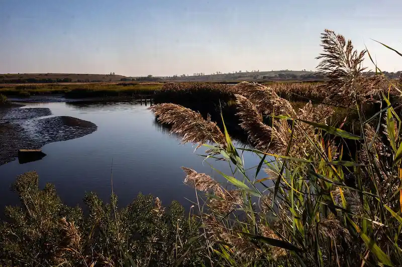 Freshkills Landfill in Staten Island transformed into North Park, inviting the public to explore its reclaimed beauty.
