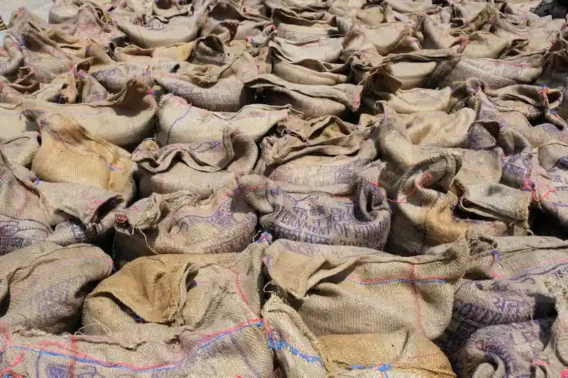 Modi, ücretsiz gıda girişiminin yaklaşan seçimlerden önce 5 yıl daha devam edeceğinin garantisini verdi