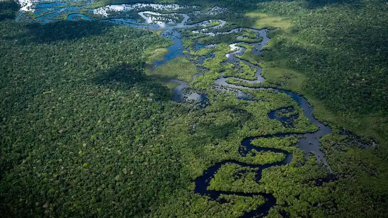 Die Abholzung des Amazonas geht um über 20 % zurück und erreicht den tiefsten Stand seit 5 Jahren