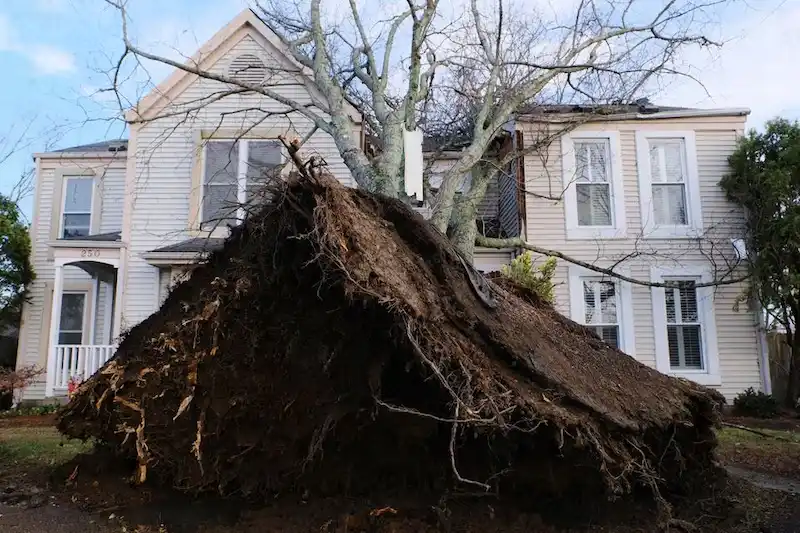 Severe storms and tornadoes wreak havoc in Tennessee, leaving six dead and thousands without power.