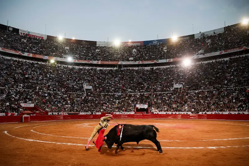 La corrida ritorna a Città del Messico, scatenando intense proteste contro la crudeltà sugli animali