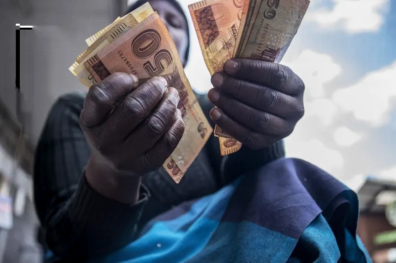 Il presidente dello Zimbabwe anticipa una revisione valutaria nel mezzo della crisi valutaria
