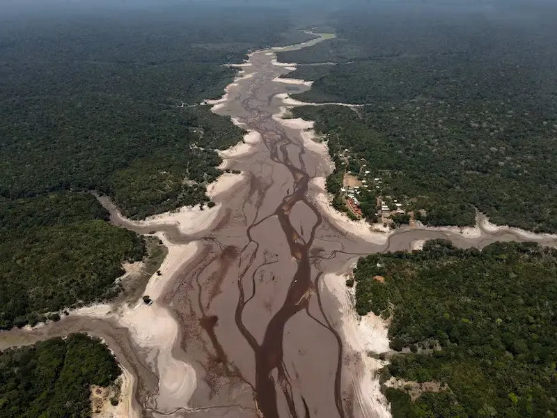 New Study Warns of Impending Collapse of the Amazon Rainforest