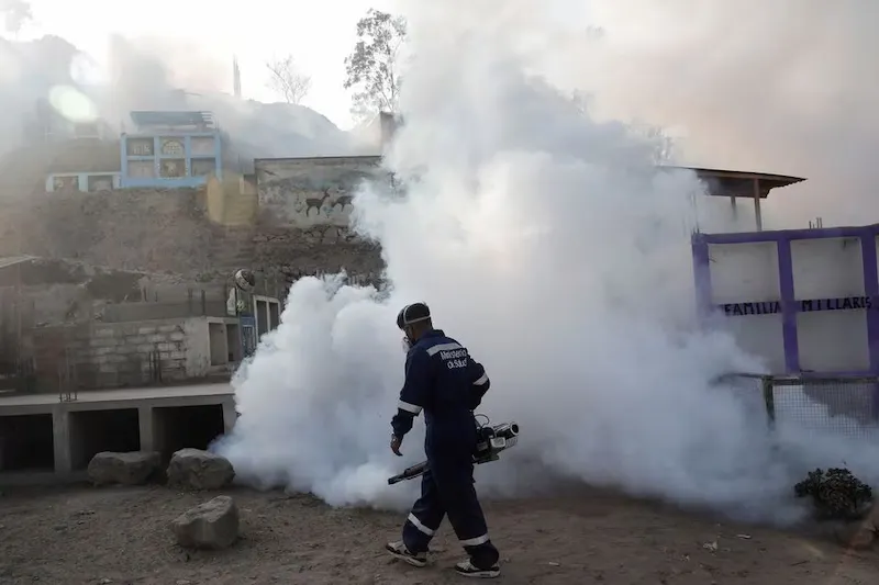 In bestimmten Gebieten Perus wird der Notstand ausgerufen, da die Zahl der Dengue-Fieber-Fälle zunimmt