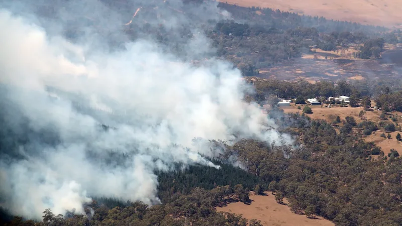 30.000 residenti costretti ad andarsene mentre lo stato australiano affronta un catastrofico pericolo di incendio. 