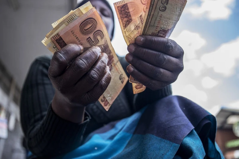 Zimbabwe to Unveil Decision on Local Currency Following 73% Drop