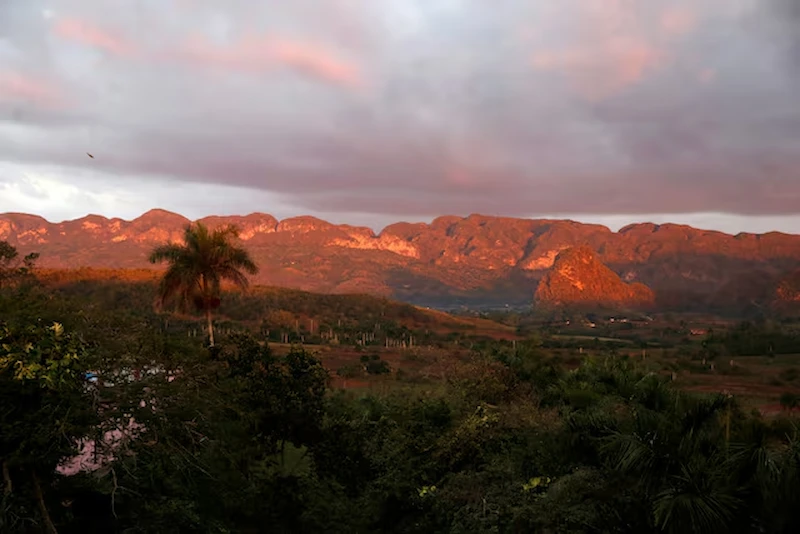 Devastating wildfire sweeps through pine forests near popular Cuban tourist spot Viñales
