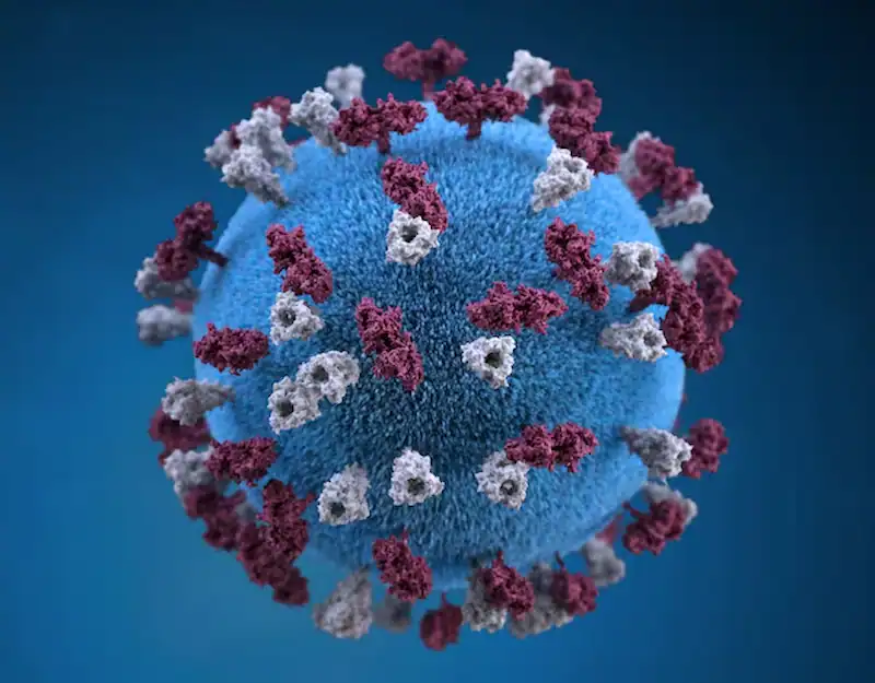 Ontario records its first measles fatality in more than ten years