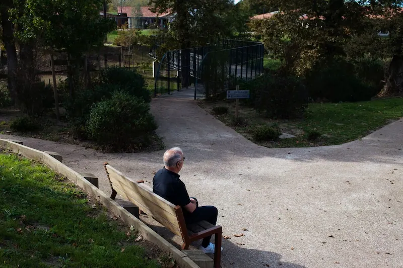 The Latest Breakthroughs in Alzheimer's Research