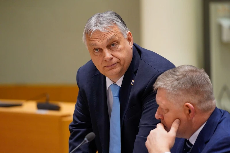 Het staatsorgaan van Orban richt zich op Transparency International in Hongarije