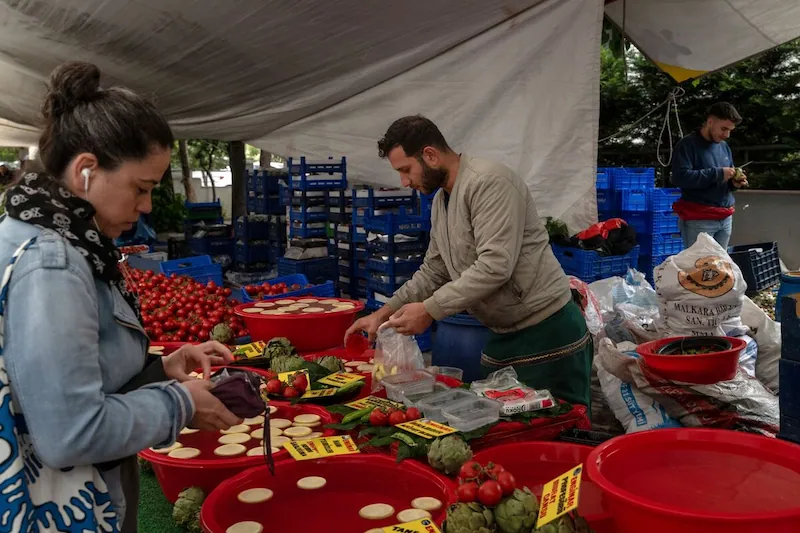 Turkish Inflation Shows Signs of Easing, but Challenges Persist