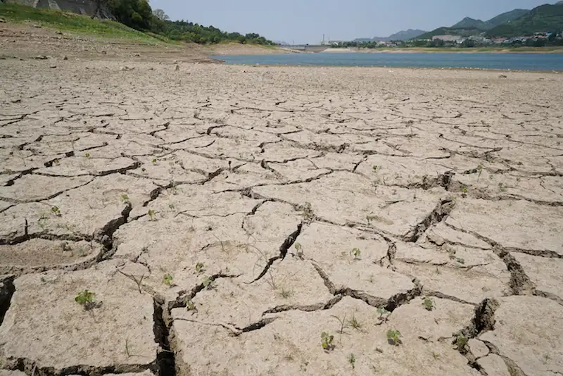 China braces for longer, scorching heatwaves amidst escalating climate crisis