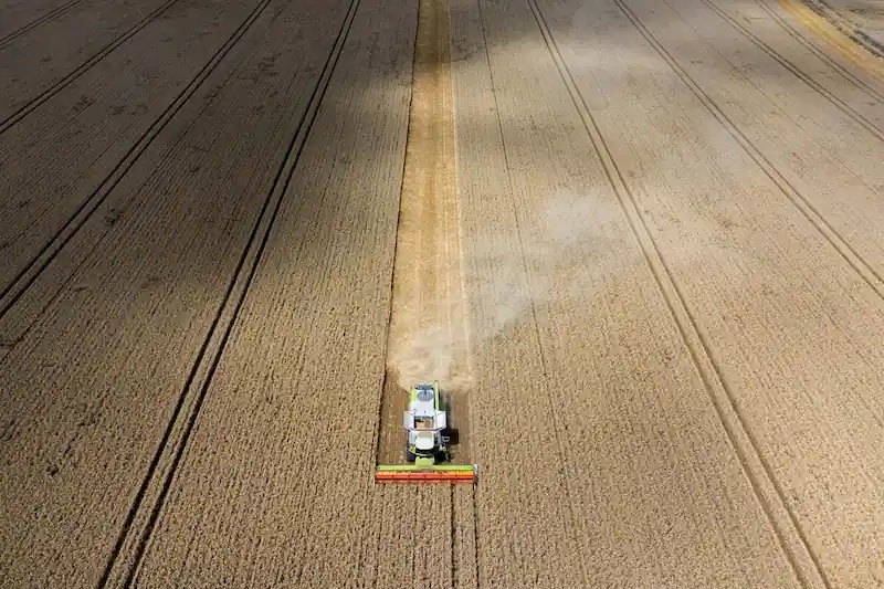 Agricultural Trading Giants Brace for Weakest Quarter in Years Amid Shifting Market Dynamics