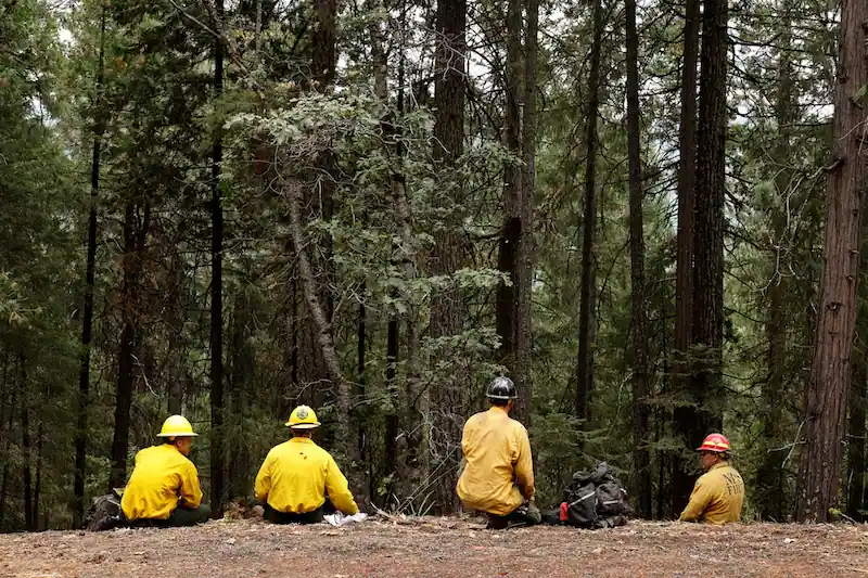 California's Park Fire Rages On, Firefighters Battle Fourth-Largest Blaze in State History