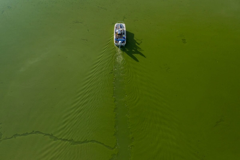 The Rising Risk of Lethal Germs Lurking at Beach Destinations in America