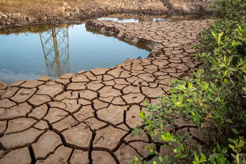 Scientists Warn of Heightened Swings and Record-Breaking Extremes