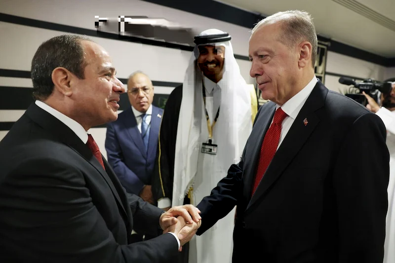 Turkey and Egypt Collaborate to Strengthen Energy Partnership in Efforts to Enhance Relations