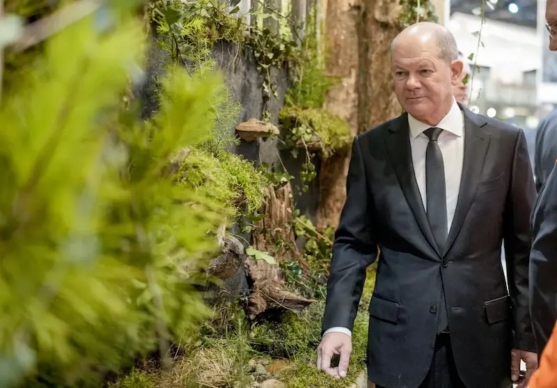 Scholz esorta l'UE a rinviare la legislazione sulla protezione delle foreste