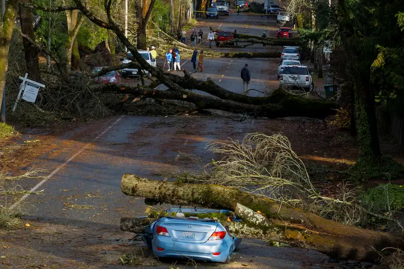 Devastating Storm Hits Washington State, Cascading Effects Expected Across the Region