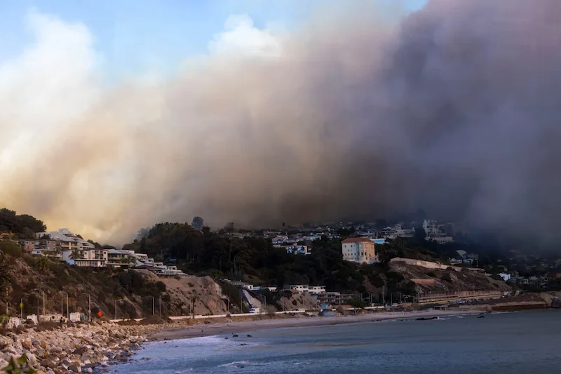 Studio senza precedenti svela gli impatti degli ecosistemi oceanici degli incendi di Los Angeles