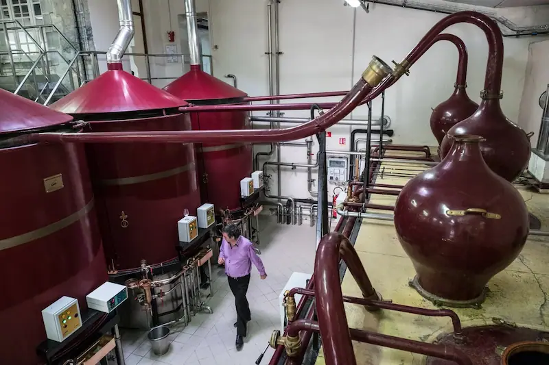 Cognac Industry Urges French Government to Resolve Trade Dispute with China