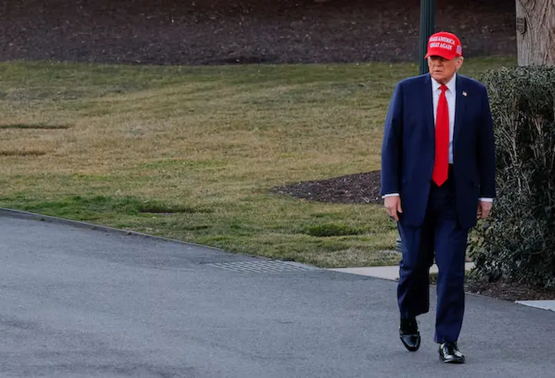 Trump ordina le indagini sulle importazioni di legname, mettendo in scena le possibili tariffe