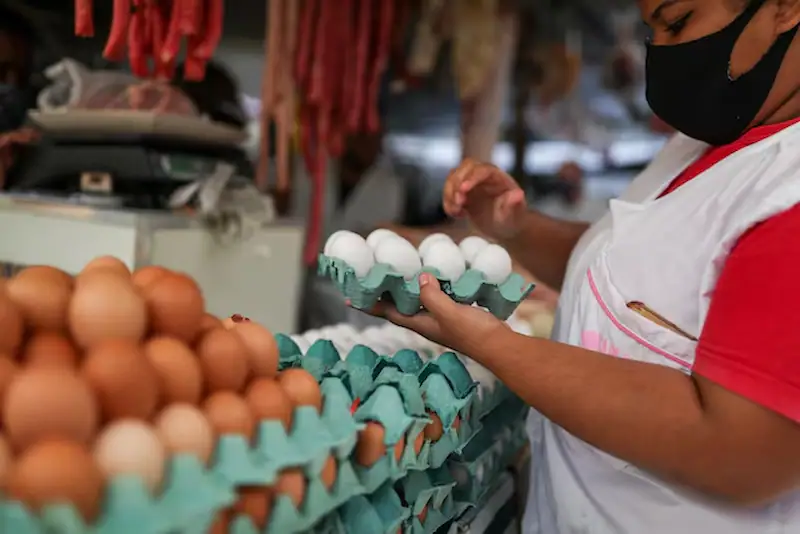 Brazilian Egg Exports Surge as U.S. Demand Soars Amid Avian Flu Outbreaks