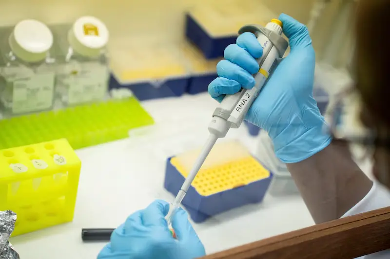 L'interesse degli investitori si sposta dalla terapia genica ai rendimenti dei farmaci per la perdita di peso più rapidi