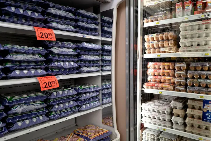 Les prix des œufs résistent à la pression de déflation au milieu des incertitudes de la grippe des oiseaux et des tarifs